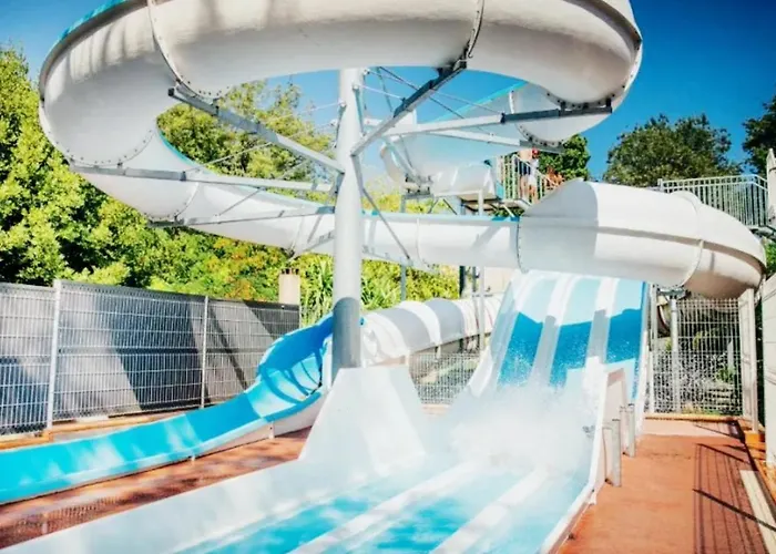 Parc Bellevue - Aquatique *
